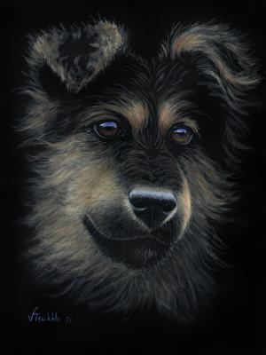 ϸ� � ������� ����� �������� (������ ���). ����� ��������