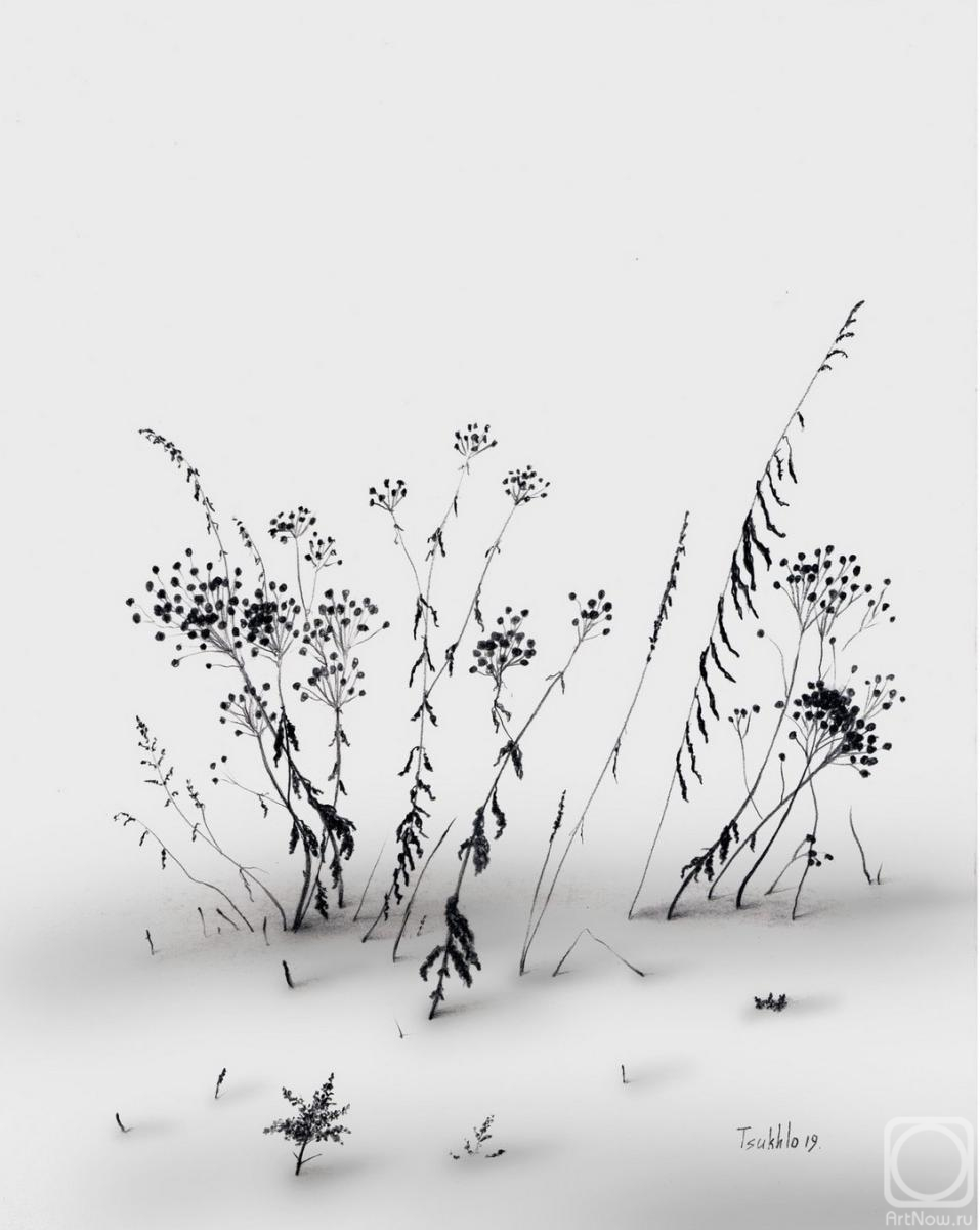 �������. ����� ��������. ������ �������