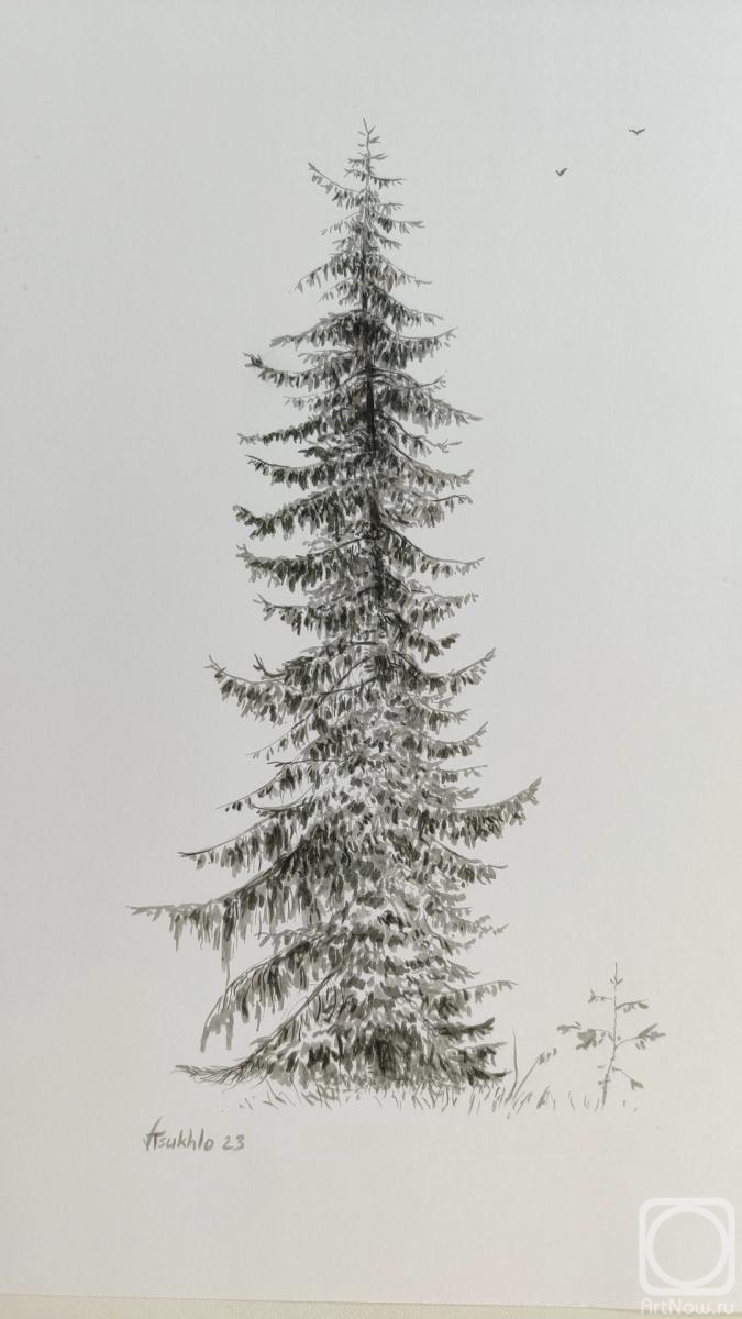 �������. ����� ��������. �������� ���