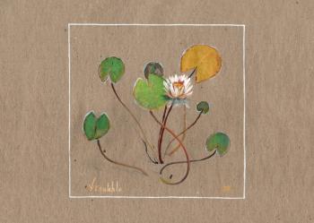 ��������. ����� ��������