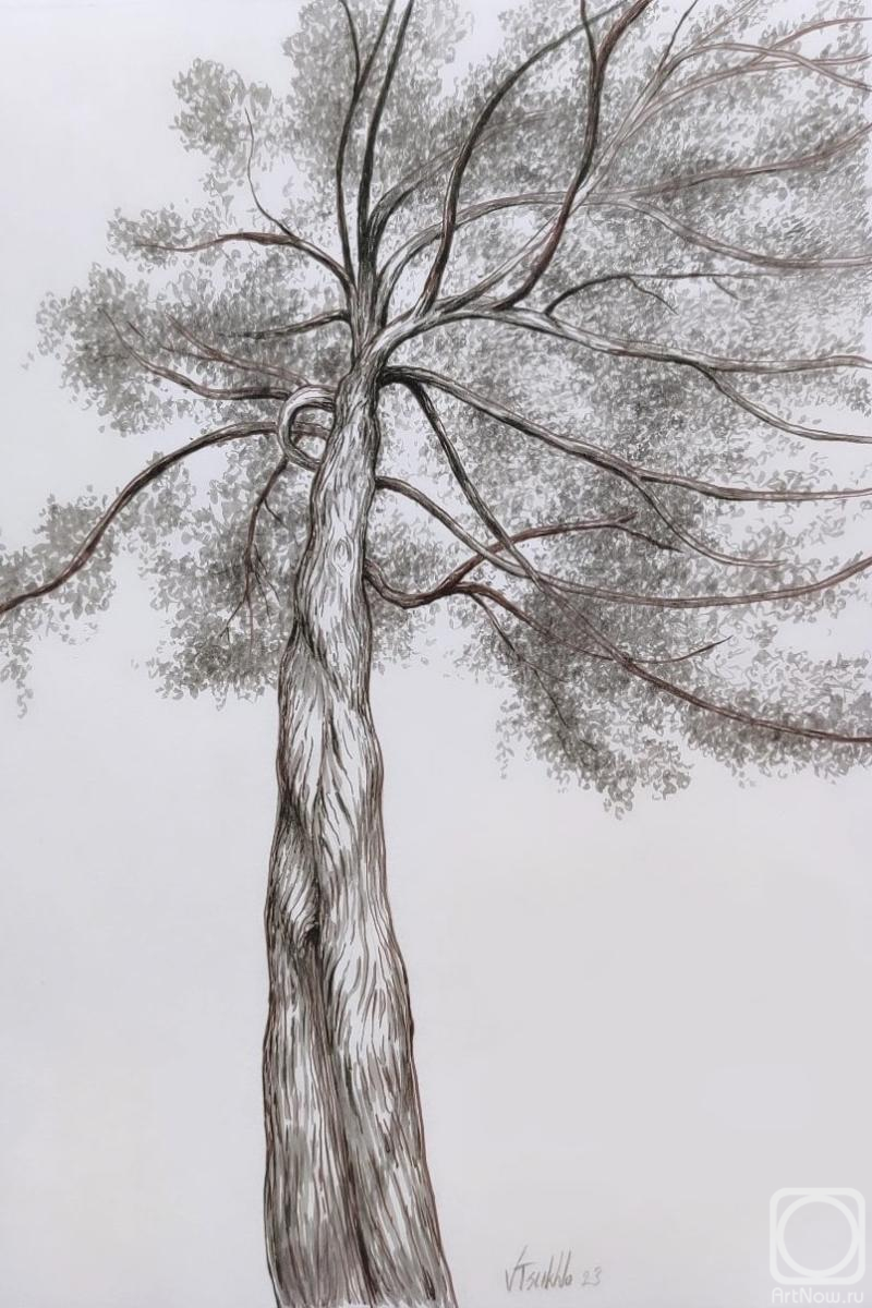 �������. ����� ��������. ������, �������, ����