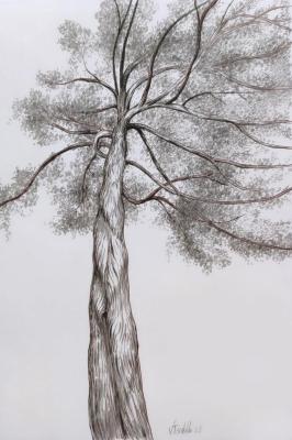 Curves, lightness, light