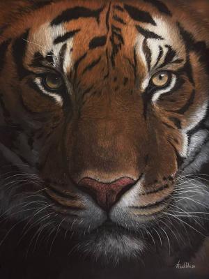 Tiger. Tsuhlo Vladimir