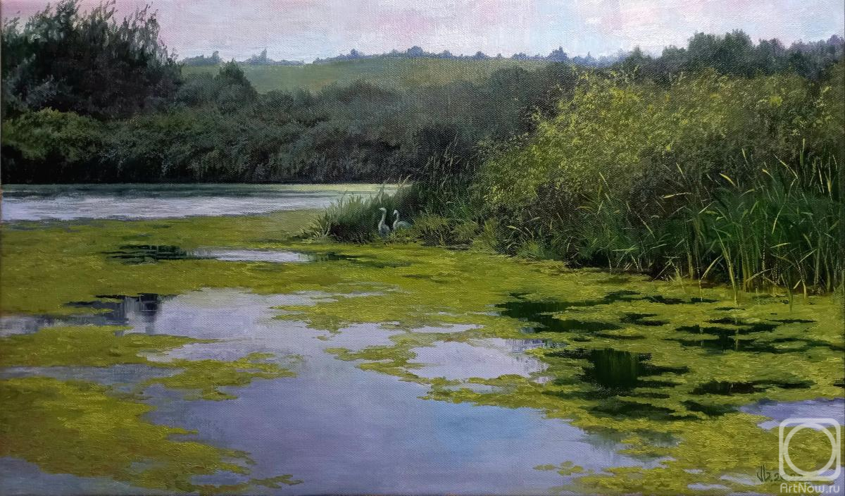 ������� ������ �� ������. ��������� ��������. ����