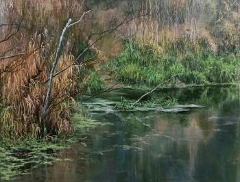 ������� ��������