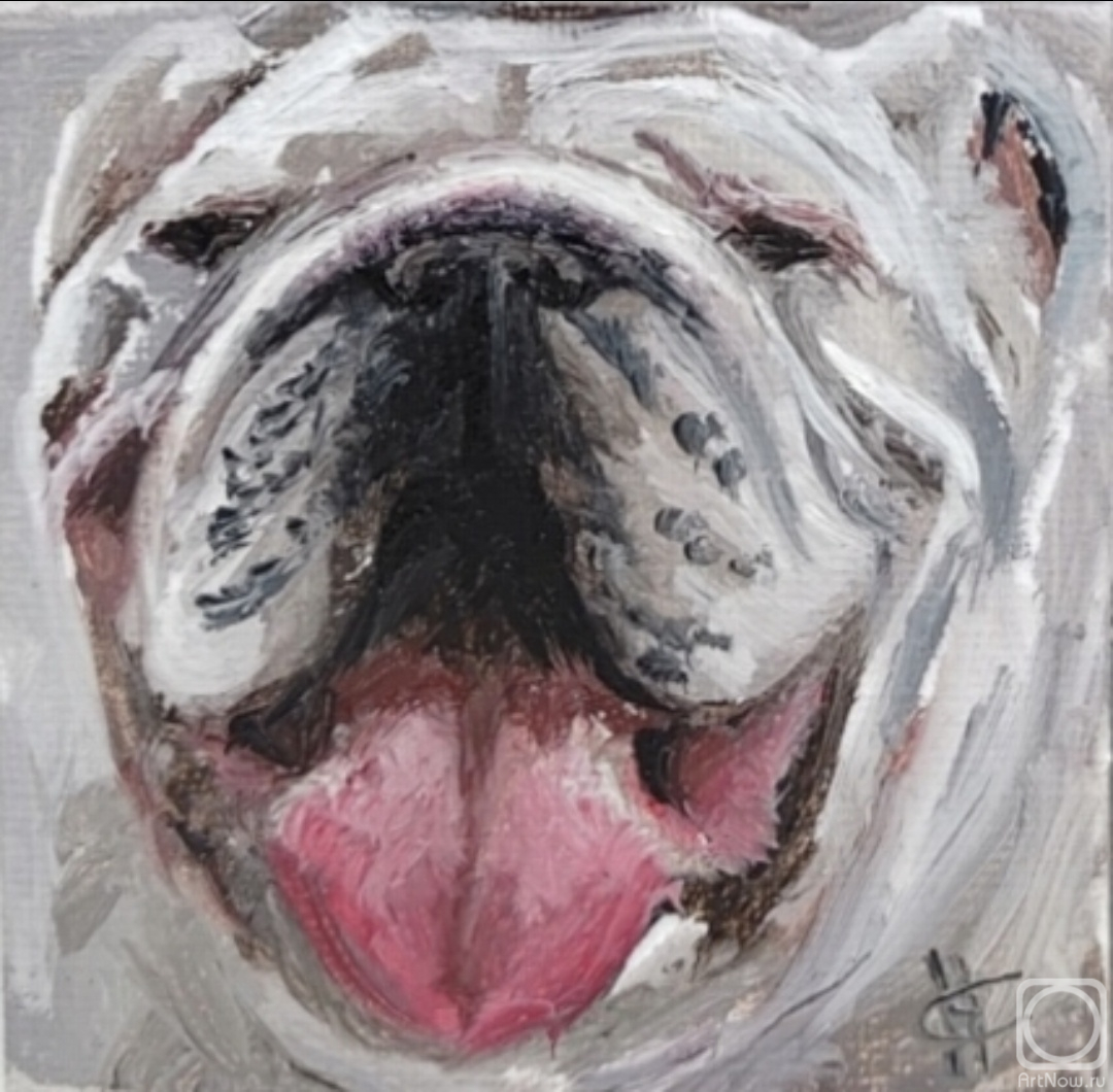 ������� ������ �� ������. ������ �������. ������� ����������� ��������