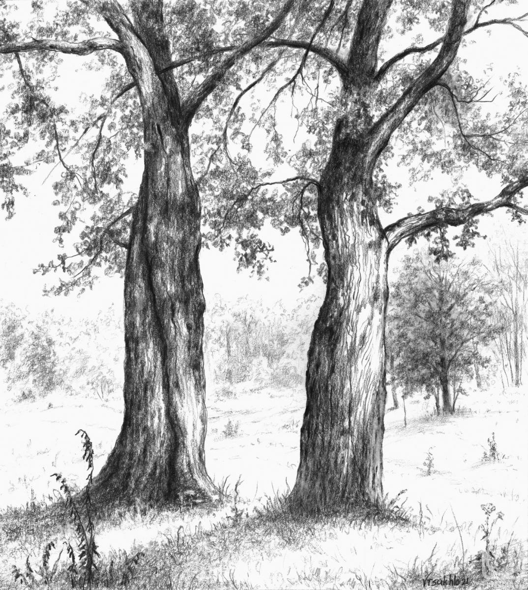 �������. ����� ��������. ������ ������� � �����. � ���� �����