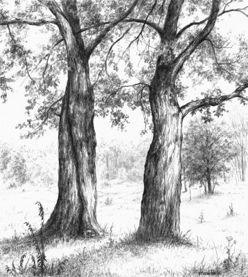 ������ ������� � �����. � ���� ����� (������� ����). ����� ��������