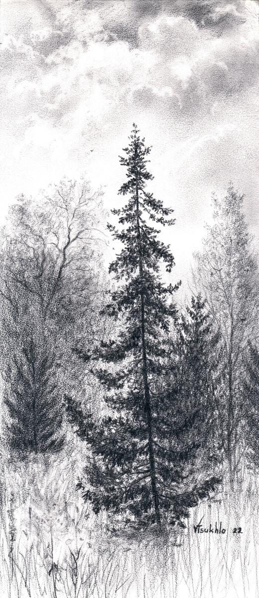 �������. ����� ��������. �� ������