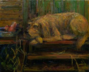 �� ������ �����. ���������� �������