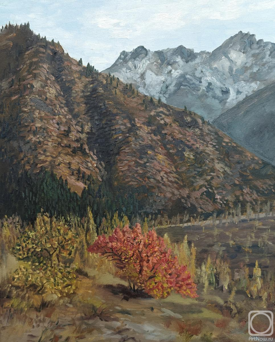 ������� ������ �� ������. ��������� �����. ����� � ����� ������