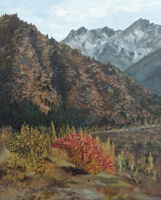 ����� � ����� ������