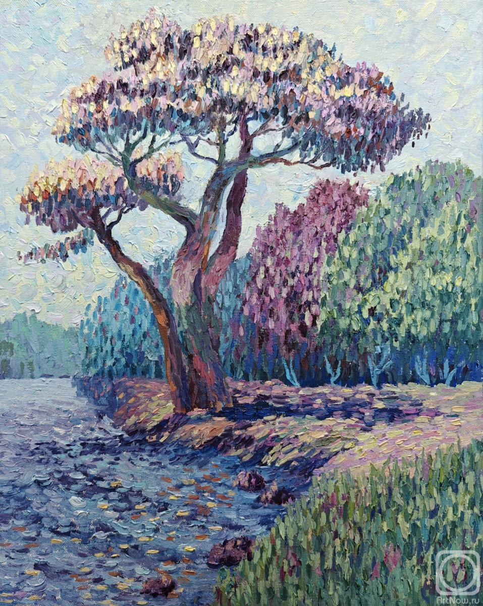 ������� ������ �� ������. ��������� �����. ���, ��� ������ ������