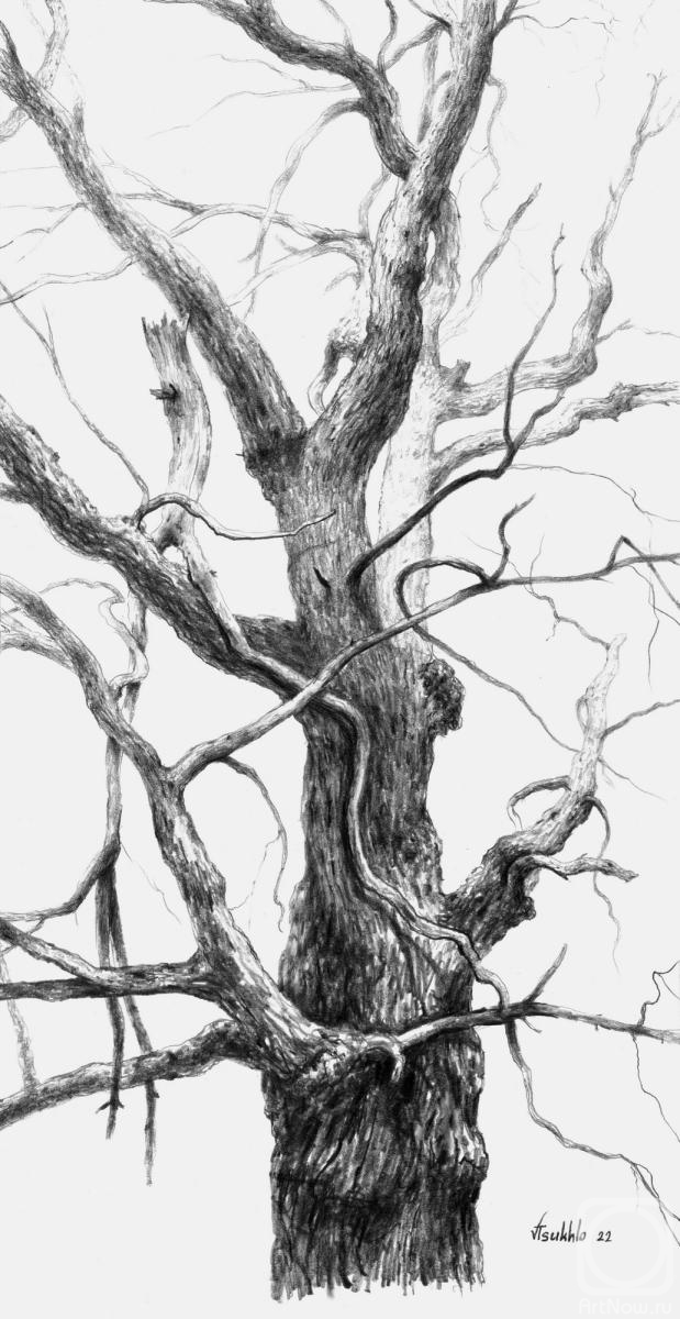 �������. ����� ��������. ��������� �������� ����