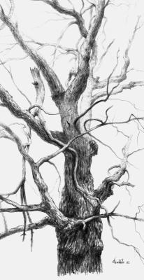 ������� ���������� �������� ����