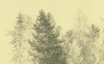 Full-scale sketch of a forest. Tsuhlo Vladimir