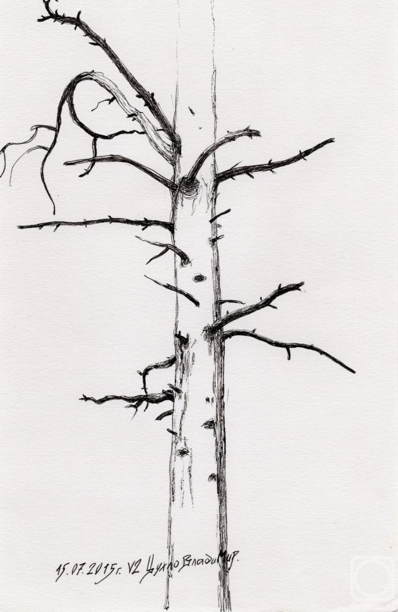 �������. ����� ��������. ��������� �����