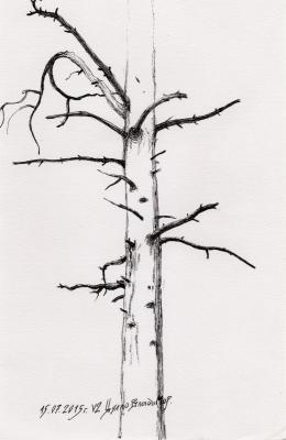 ������� ���������� ������