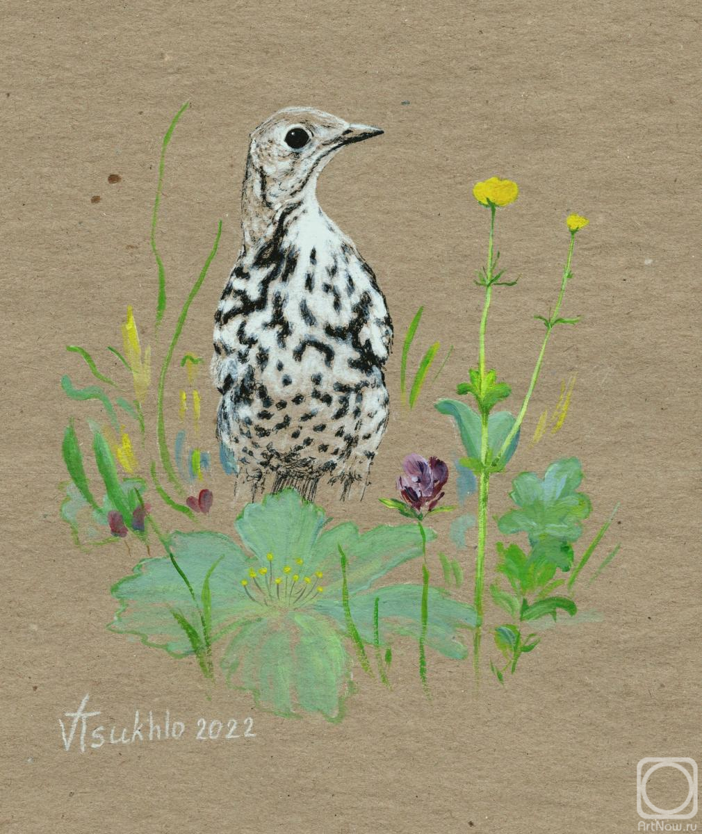 �������. ����� ��������. ����� ������