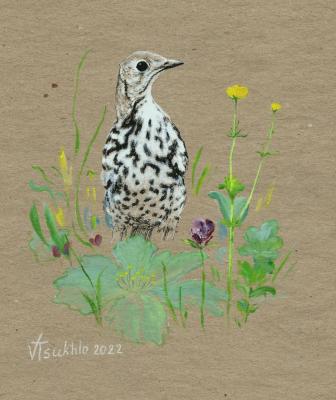 ������� ������ ������