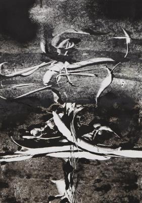 ������� �������