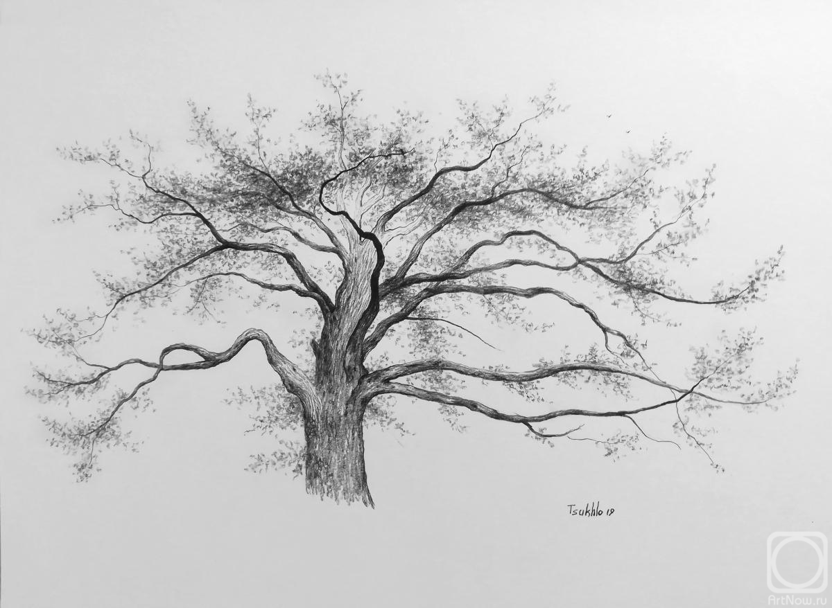 �������. ����� ��������. ������������ ���