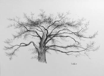 ������� ������������� ���