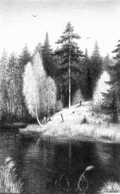 ������� ��� �����