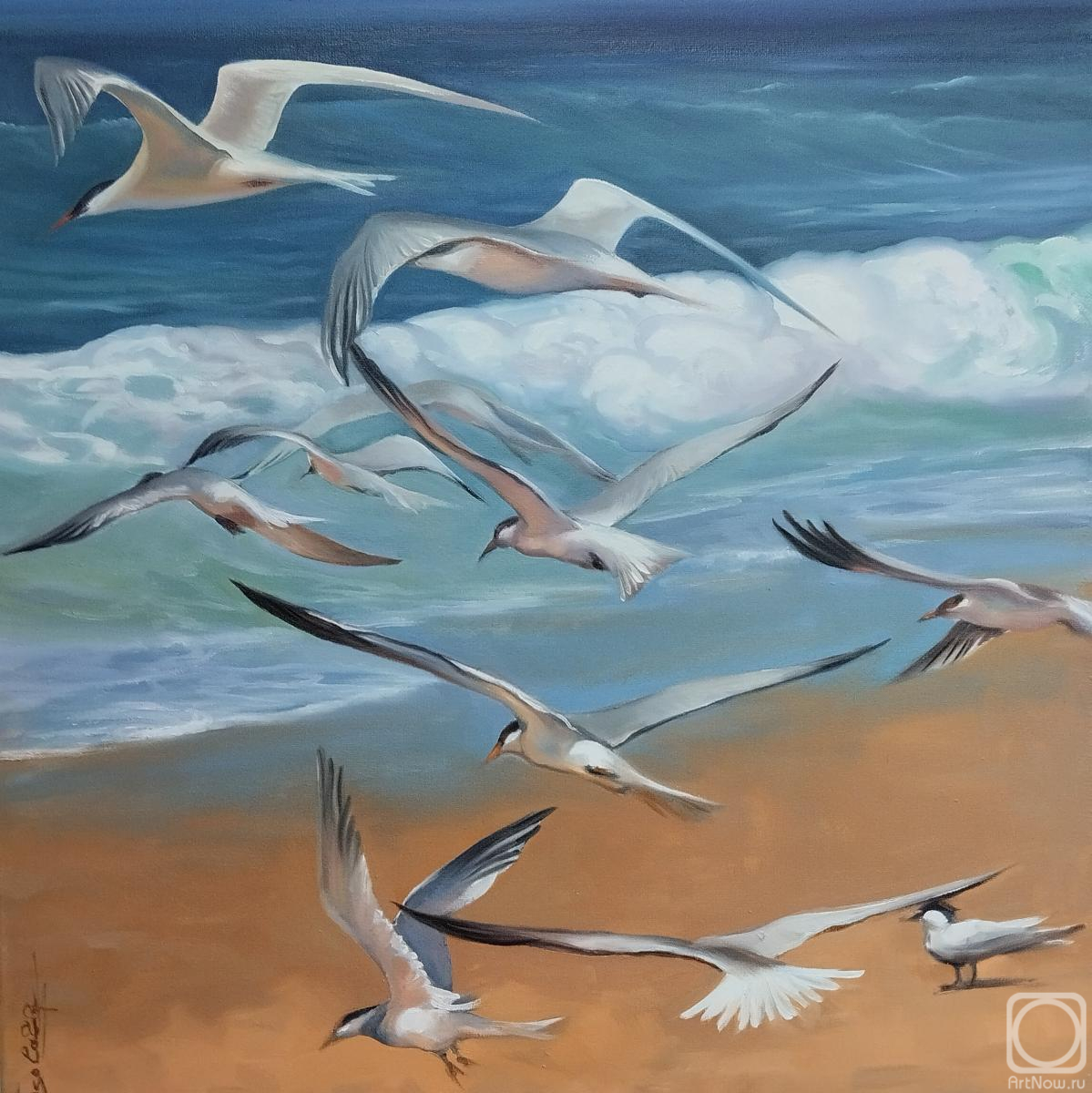 ������� ������ �� ������. ��������� �����. �����