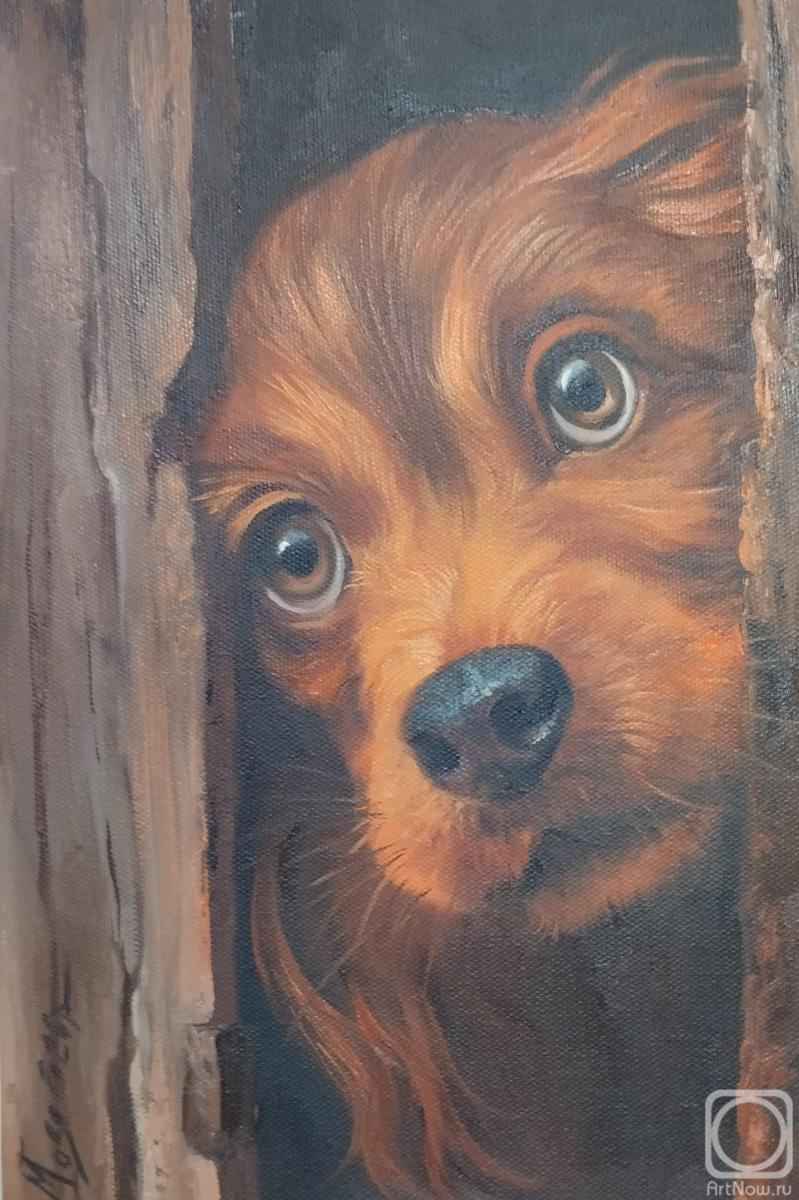 ������� ������ �� ������. ��������� �����. ����� �����