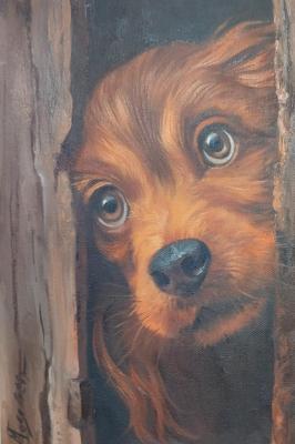 ����� �����. ��������� �����