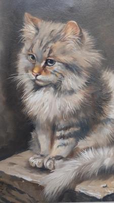 ��� �����. ��������� �����