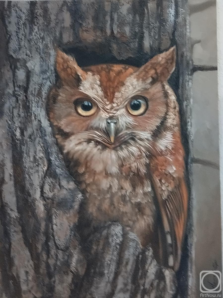 ������� ������ �� ������. ��������� �����. ������ ����