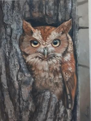 ������ ����