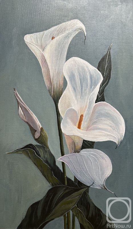 �������. ��������� �����. ������� �������� ������