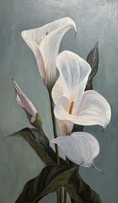 ������� �������� ������