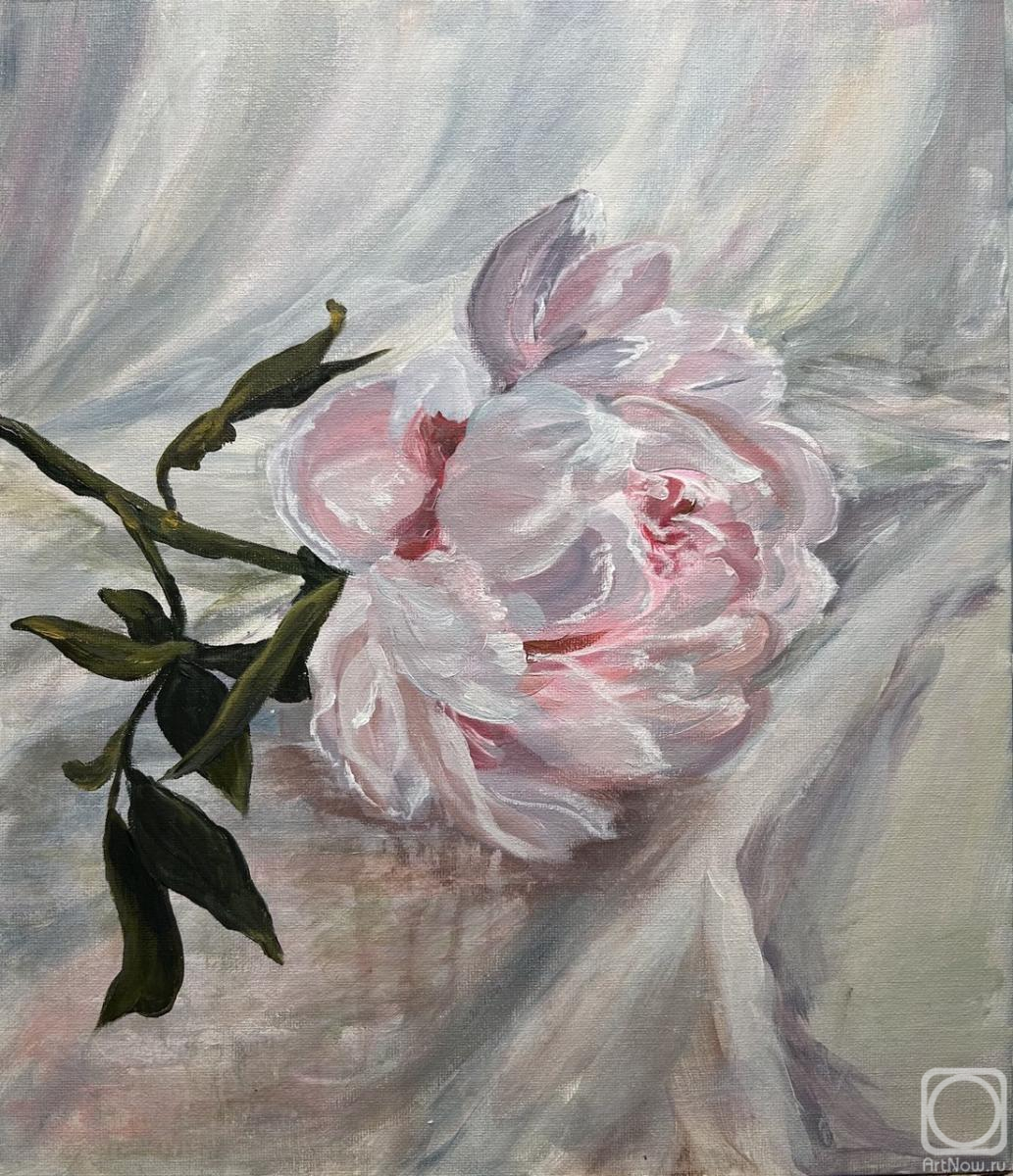 �������. ��������� �����. ����