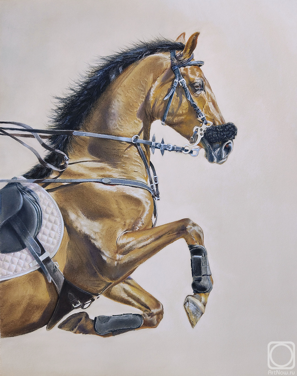 �������. ������� �������. ������