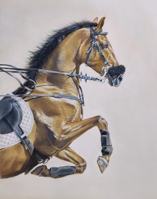 ������. ������� �������