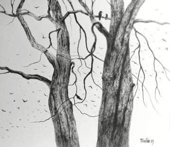 ������� ������������� ������