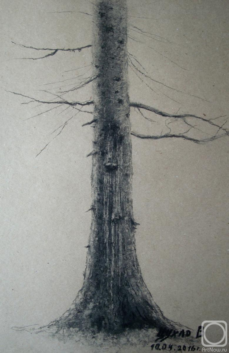 �������. ����� ��������. �������� ��������� ������� ���