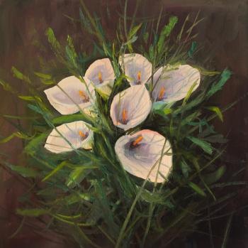 ����������. ��� ��������