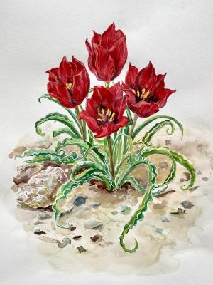 ��������. ��������� �������