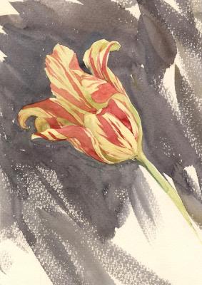 �������. ���������� ���������