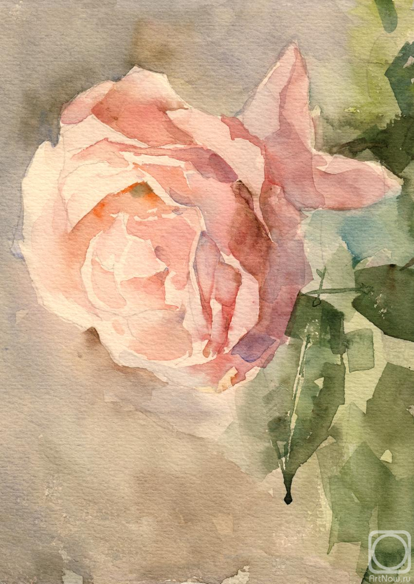 ���������� ���������. ����