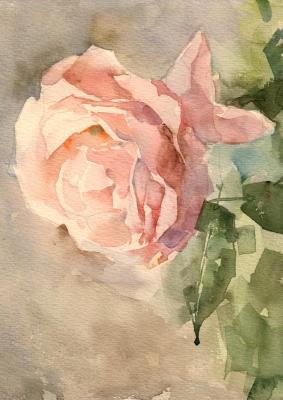 ����. ���������� ���������