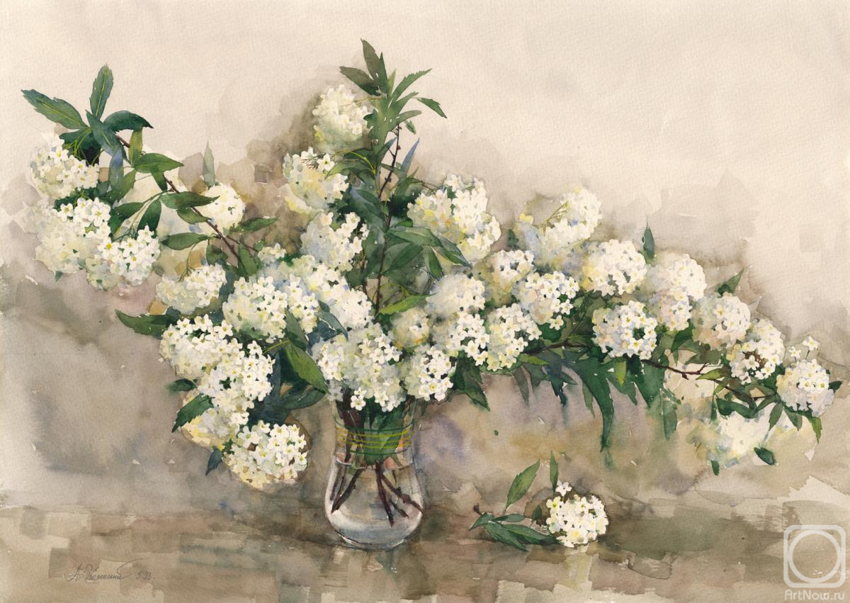 ���������� ���������. ������