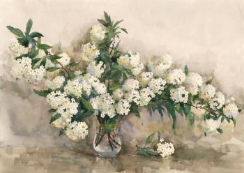 ������. ���������� ���������