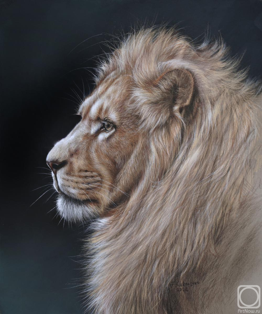 �������. ��������� �����. ������ ���