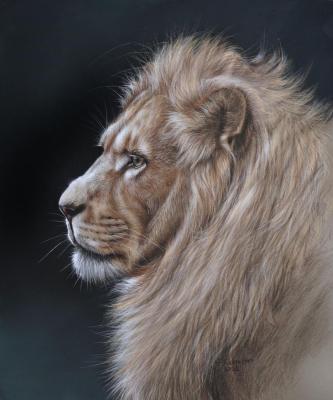 ������ ���. ��������� �����